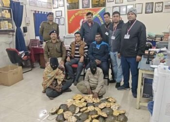 Major action in Doon Express, two smugglers arrested with 60 live turtles