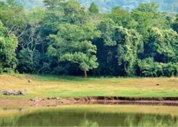 Jharkhand bans deep boring in forest areas