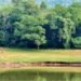 Jharkhand bans deep boring in forest areas