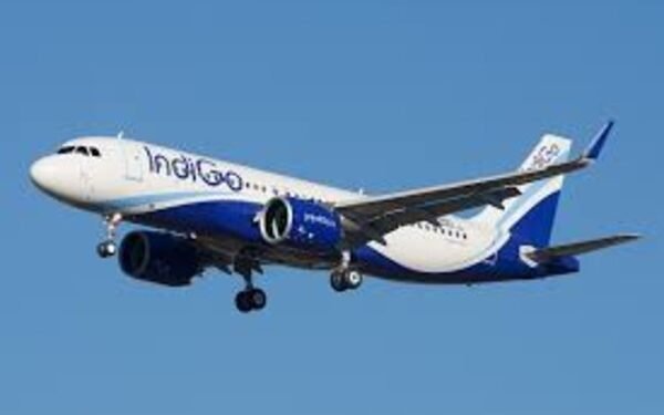 Indigo Flight