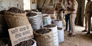 तमाड़ के जंगलों से 700 किलो डोडा बरामद, नशे के सौदागरों में हड़कंप