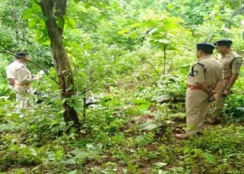 धनबाद के नवादा जंगल में मिला खून से लथपथ शव, हत्या की आशंका से इलाके में दहशत
