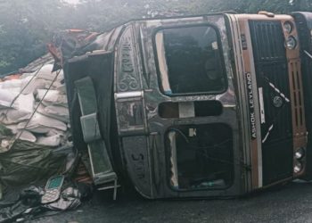 कोडरमा घाटी में मुर्गा दाना लदा ट्रक पलटा, NH-20 पर लगा लंबा जाम