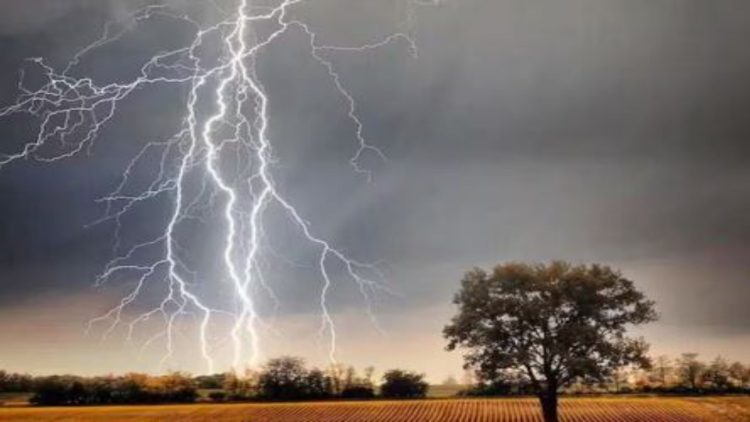 पलामू में वज्रपात से 13 पशुओं की मौत, महिला समेत दो लोग घायल 1 पलामू में वज्रपात से 13 पशुओं की मौत, महिला समेत दो लोग घायल