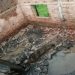 कोडरमा में सरकारी स्कूल की छत भरभराकर गिरी, बाल-बाल बचे 35 बच्चे