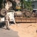 Ranchi Breaking: सहजानंद चौक से हरमू चौक के बीच बालू लदा 407 ट्रक पलटा, कई घायल