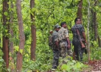 Jharkhand News: सारंडा जंगल में सुरक्षाबलों और भाकपा नक्सलियों के बीच मुठभेड़
