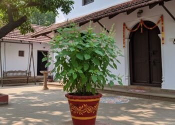 Vastu Tips: पेड़-पौधों के शौकीन है? तो भूलकर भी न करें ये गलती, वरना पड़ सकता है पछताना!