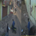 हजारीबाग में 4 कुत्ते के बच्चों को उठा ले गए दो युवक! CCTV में कैद हुई घटना 7 हजारीबाग में स्कूटी से 4 पिल्लों को ले जाते दो युवक (CCTV फुटेज)