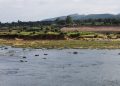 Body of student recovered from Kharkai River in Seraikela; he had been missing since Thursday.