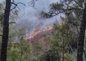 Dhanbad barmasia pul garbage fire news