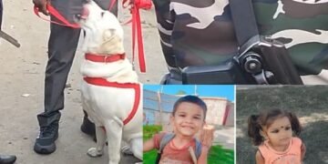 dhurwa-ansh-anshika-case-khoji-kutte-kyon-ruke