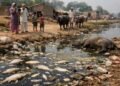 'Toxic water' wreaks havoc in Haryana: 12 deaths in 15 days, including 5 children