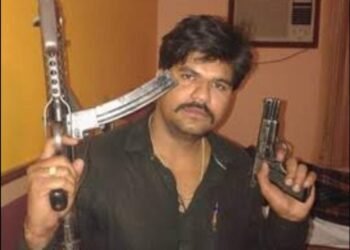 Three members of the gangster Sujit Sinha gang were denied bail as the court rejected their bail pleas.