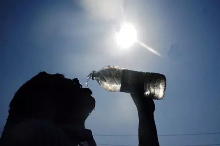 Scorching heat of 47 degrees Celsius lashes North India, heatwave alert issued in several states