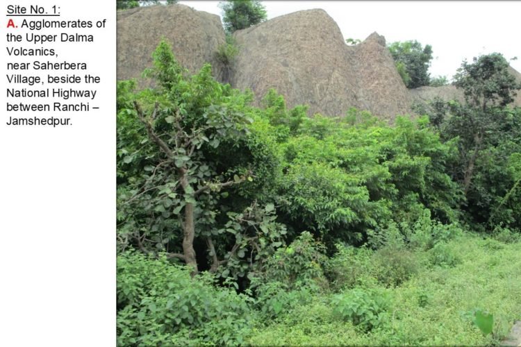 Saryu Rai's initiative on World Environment Day, demands to declare Dalma and Dudhi Nala as Geological Heritage