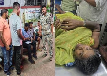 पीरटांड़ के मंडलडीह गांव में घर में घुसा हाथियों का झुंड