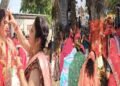 Vat Savitri Vrat 2026: Married Women Worship the Banyan Tree —A Magnificent Display of Faith and Devotion