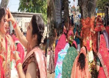 Vat Savitri Vrat 2026: Married Women Worship the Banyan Tree —A Magnificent Display of Faith and Devotion