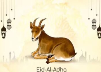Ranchi News: Change in Bakrid Holiday Schedule; Jharkhand Government Issues New Notification