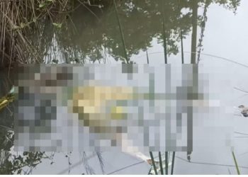 Dhanbad: Woman's skeleton found in mine; cause of death to be revealed after post-mortem