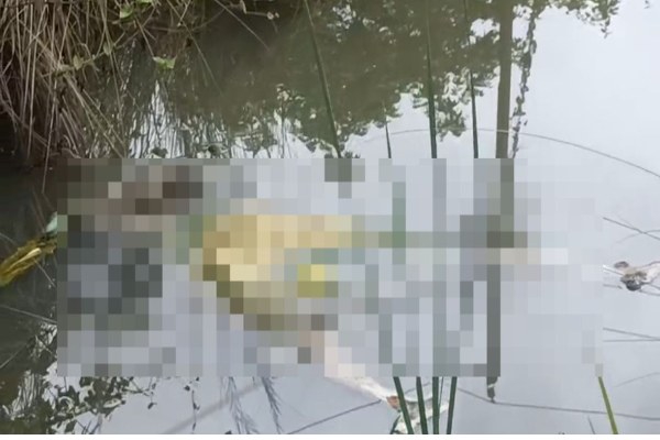 Dhanbad: खदान से मिला महिला का कंकाल, जांच में जुटी पुलिस 1 Dhanbad: Woman's skeleton found in mine; cause of death to be revealed after post-mortem
