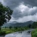 Jharkhand Weather Update 19 June 2026