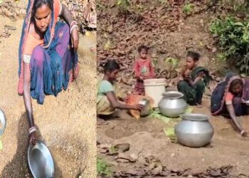 Koderma: humans and animals have been quenching their thirst at the same ghat for 20 years; CM Hemant Soren has ordered an inquiry