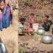 Koderma: humans and animals have been quenching their thirst at the same ghat for 20 years; CM Hemant Soren has ordered an inquiry