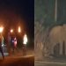 Koderma: हाथियों के झुंड ने थाने को बनाया निशाना, पुलिस ने आग और पटाखों से खदेड़ा 10 Koderma के नवलशाही थाना के पास हाथियों के झुंड ने मचाया उत्पात