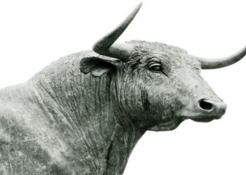 Share Market Update: Major Reversal in the Market Today Following Yesterday's Decline