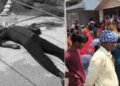 Ranchi Crime: Sensation in Ranchi's Ratu—Youth's Body Recovered from Semi-Constructed House; Murder Suspected