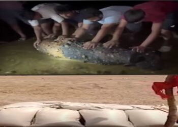 Breaking News: 227-kg Live Bomb Found Again on the Banks of the Subarnarekha River; Connection to World War II