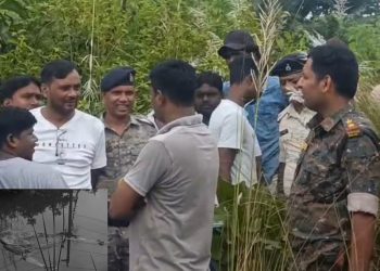 Woman's skeleton found in Baliapur mine; police working to identify it.