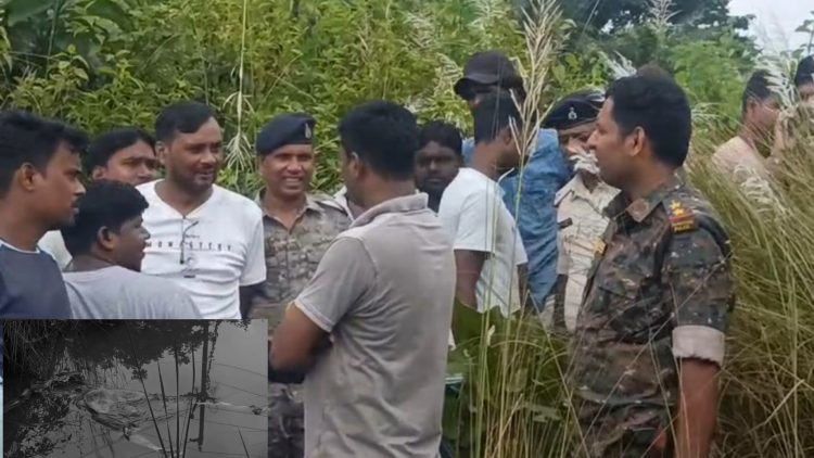 बलियापुर की खदान में मिला महिला का कंकाल, पहचान में जुटी पुलिस 1 Woman's skeleton found in Baliapur mine; police working to identify it.
