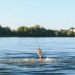 Report of a man drowning in the pond at Kokar Distillery Park.