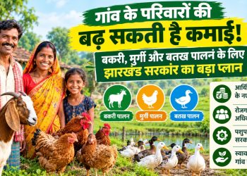 Income of village families could rise! Jharkhand government's major plan for goat, poultry, and duck rearing.
