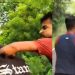 Video of incident similar to the Jamui case goes viral in Samastipur; girl allegedly mistreated on the road.
