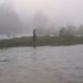 In Ranchi, a husband threw his wife off a bridge into the river; she remained stranded on an island all night.
