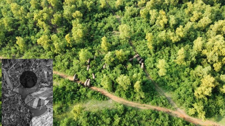 Elephant rampage in Tundi; teacher dies a tragic death while trying to save crops; village plunged into mourning.