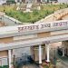 'Web' of power lines in Ranchi poses a threat to life! High Court gets tough, says negligence will not be tolerated.