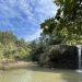 Suspicious death of a young woman at Ranchi's Chunri Falls; Priyanka had gone there with her boyfriend.