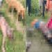 आदित्यपुर कृषि विज्ञान केंद्र के तालाब में शव मिलने के बाद इलाके में सनसनी