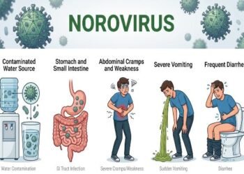 Vomiting, diarrhea, and stomach cramps? Could it be the 'Norovirus'? Find out just how dangerous this infection is