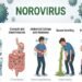 Vomiting, diarrhea, and stomach cramps? Could it be the 'Norovirus'? Find out just how dangerous this infection is