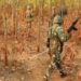 Big Breaking: 25 Naxals from Jharkhand's Saranda to surrender within 24 hours.