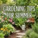 Gardening in Summer: Stepping out in the scorching heat? Keep your garden plants safe with these tips