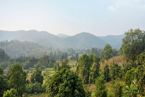 मौसम विभाग ने दिया संकेत, 25 सितंबर को झारखंड में फिर सक्रिय होगा मानसून