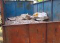 Forest Department takes major action against illegal mica trade in Giridih; vehicle loaded with 4 tonnes of mica seized