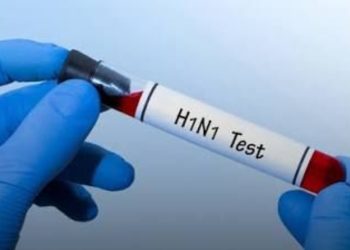 Jharkhand on alert amidst rising H1N1-H3N2 cases; isolation wards ready in hospitals.